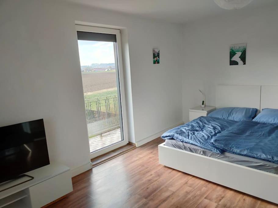 Apartment Laendlich Und In Seenaehe